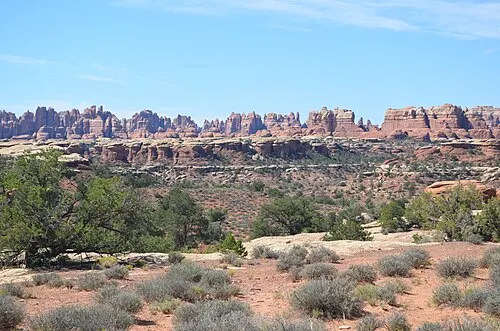 Slickrock and spires of the Needles district near The Needles Campground, base camp for Chesler Park and Cave Spring (substitute district landscape, not the campground loops).