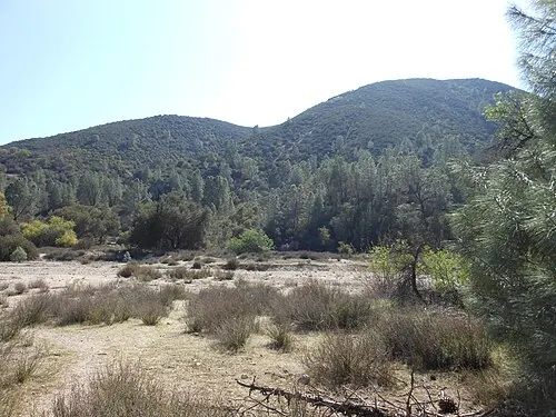 Oak woodland along Chalone Creek on the developed east side of Pinnacles National Park.