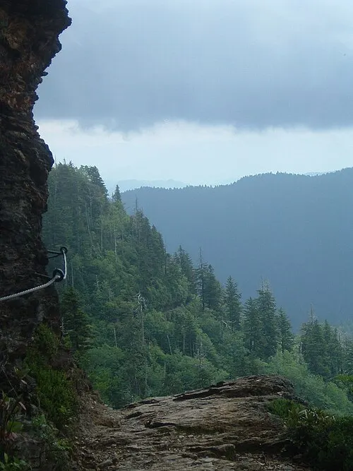 Alum Cave Bluffs Trail ascending through hemlocks toward Mount LeConte.