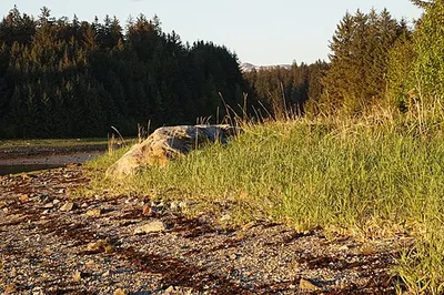 Intertidal shoreline at Bartlett Cove near the tidal lagoon at the end of the Bartlett River Trail.