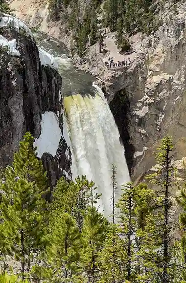 The Lower Falls of the Yellowstone River dropping 308 feet into the Grand Canyon of the Yellowstone.