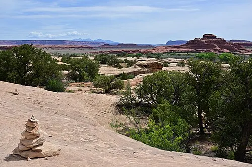 The Cave Spring Trail loop in the Needles district, passing a rock overhang, a historic cowboy camp, and pictographs.