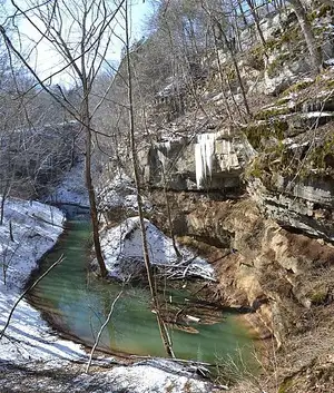 Cedar Sink, a large karst sinkhole at Mammoth Cave where a surface stream disappears into the limestone.