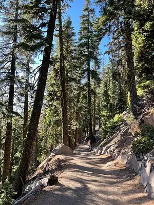 The steep Cleetwood Cove Trail descending the caldera wall toward the Crater Lake shoreline.