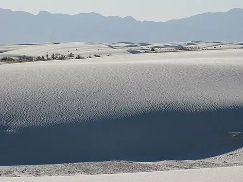 Marked dunes along the White Sands dune field on a hazy day, the terrain of the Dune Life Nature Trail.