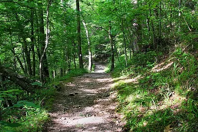 A wooded trail through the Gulpha Gorge area near the campground at Hot Springs National Park.