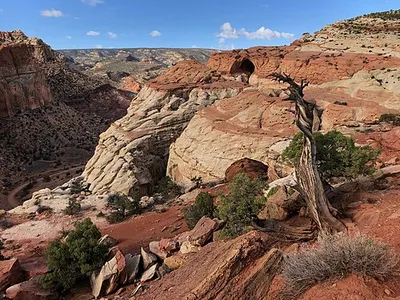 Sandstone Cassidy Arch above the Grand Wash canyon in Capitol Reef National Park.