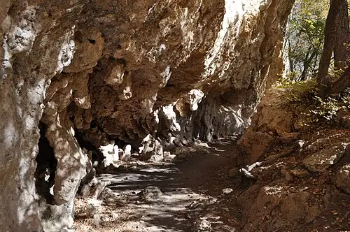 Cave-like rock formations at the Grotto along the McKittrick Canyon trail.