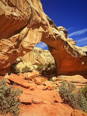The 133-foot Hickman natural bridge arching over the trail at the end of the Hickman Bridge hike in Capitol Reef National Park.