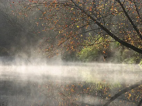A flat tree-lined section of the Towpath Trail at Cuyahoga Valley National Park.
