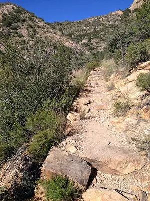 View over Juniper Canyon from the Lost Mine Trail in the Chisos Mountains, Big Bend National Park.