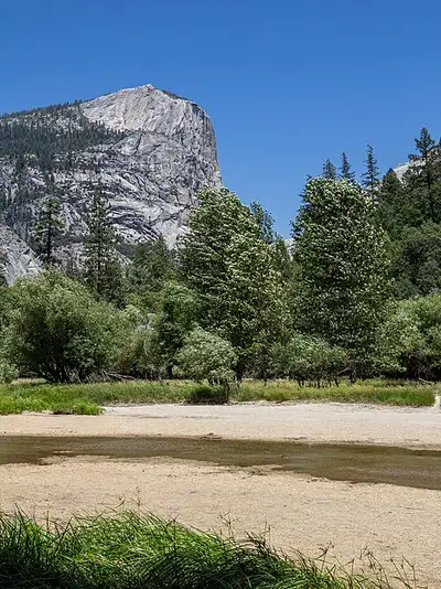 Half Dome reflected in the spring pool of Mirror Lake at the mouth of Tenaya Canyon.
