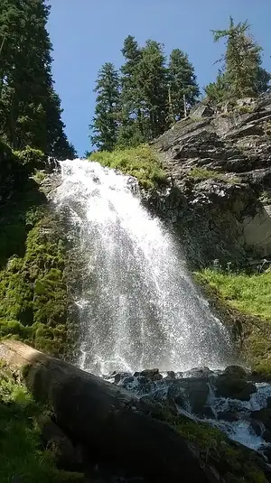 Plaikni Falls dropping through a hanging valley of green wildflowers at Crater Lake.