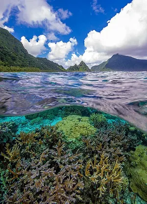 Rainforest-covered ridges and coastline of the National Park of American Samoa on Tutuila.