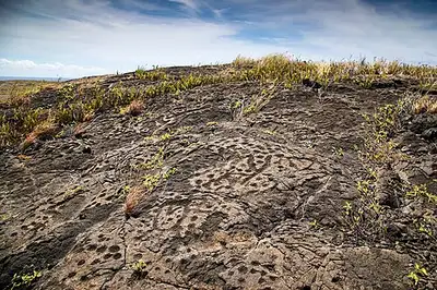 Boardwalk over the Puʻuloa petroglyph field of Kānaka Maoli carvings.