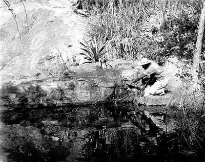 A person examining Taino petroglyphs carved into a rock face near Reef Bay, St. John.
