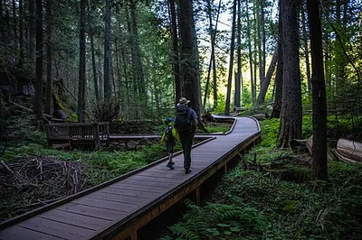 A park ranger walking the boardwalk Trail of the Cedars through old-growth forest in Glacier National Park.