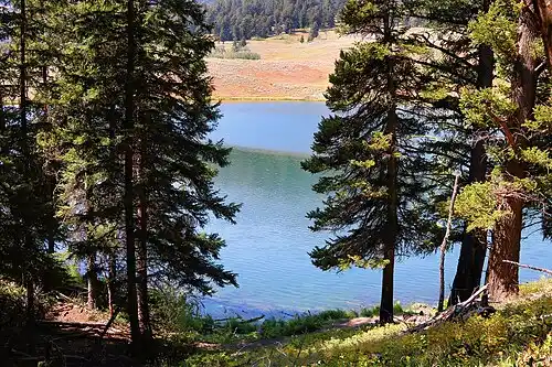 Trout Lake reflecting the surrounding ridges in the northeast corner of Yellowstone.