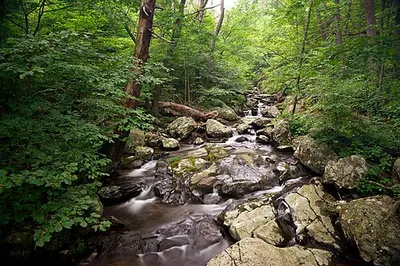 A waterfall along the Whiteoak Canyon hike in Shenandoah National Park.
