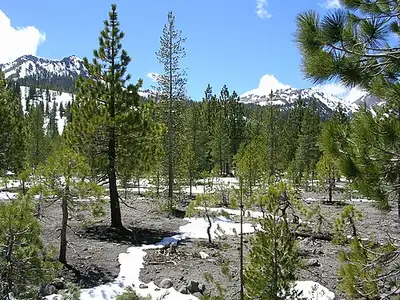 The Devastated Area on Lassen Peak's northeast flank, lava blocks scattered across recovering forest.