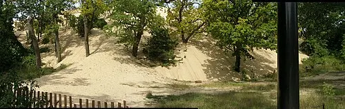 Panorama from the crest of Mount Baldy looking out over Lake Michigan at Indiana Dunes.