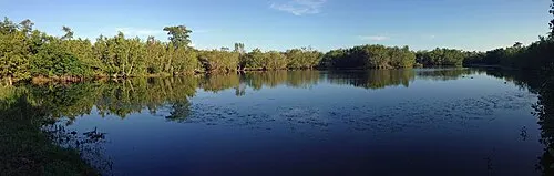 Eco Pond near Flamingo at dusk, a freshwater pond that draws wading birds in the Everglades.