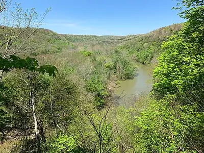 View from the Green River Bluffs Overlook down to the Green River through forested limestone bluffs at Mammoth Cave.