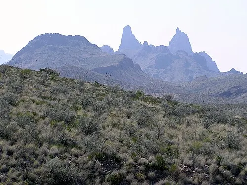 The twin volcanic dikes of Mule Ears seen from an overlook on the Ross Maxwell Scenic Drive, Big Bend National Park.