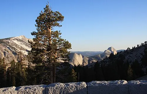 Glacier-polished granite and the back of Half Dome down Tenaya Canyon, seen from Olmsted Point on Tioga Road at about 8,400 feet.