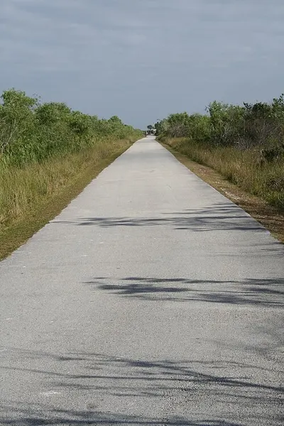 The paved Shark Valley tram road and trail running straight across sawgrass toward the observation tower.