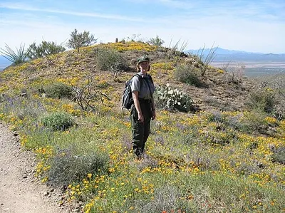 View from Wasson Peak, the highest point in the Tucson Mountains at 4,687 feet, over the surrounding saguaro country.