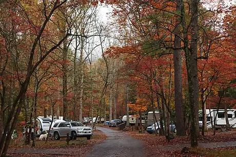 Autumn light on Cades Cove Campground with the Smokies in the background.