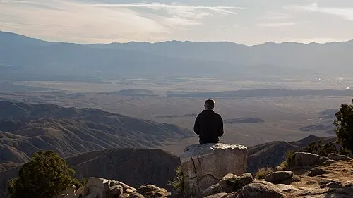 A visitor at the Keys View overlook looking out toward the Coachella Valley and the San Andreas Fault.