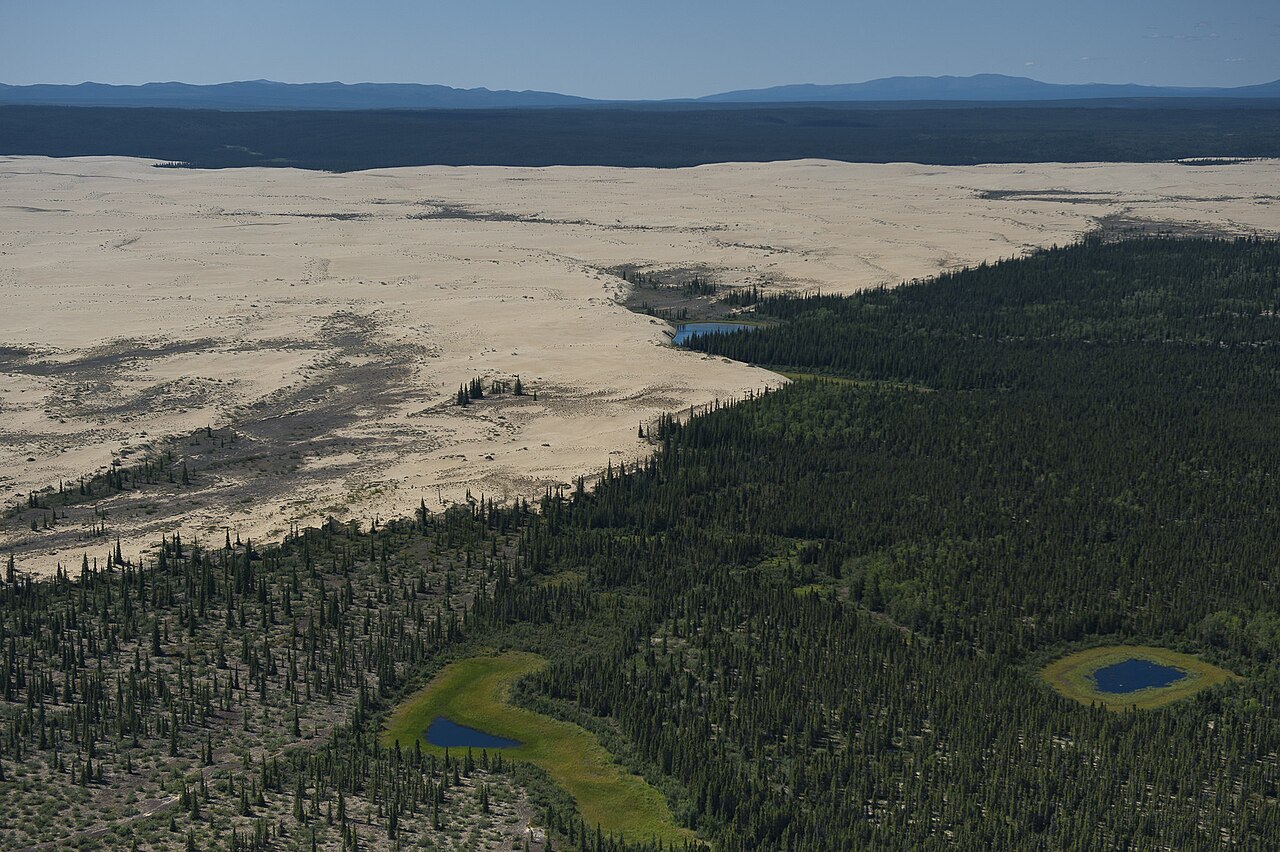 Aerial view of the Great Kobuk Sand Dunes, with pale sand reaching to forested tundra on the horizon
